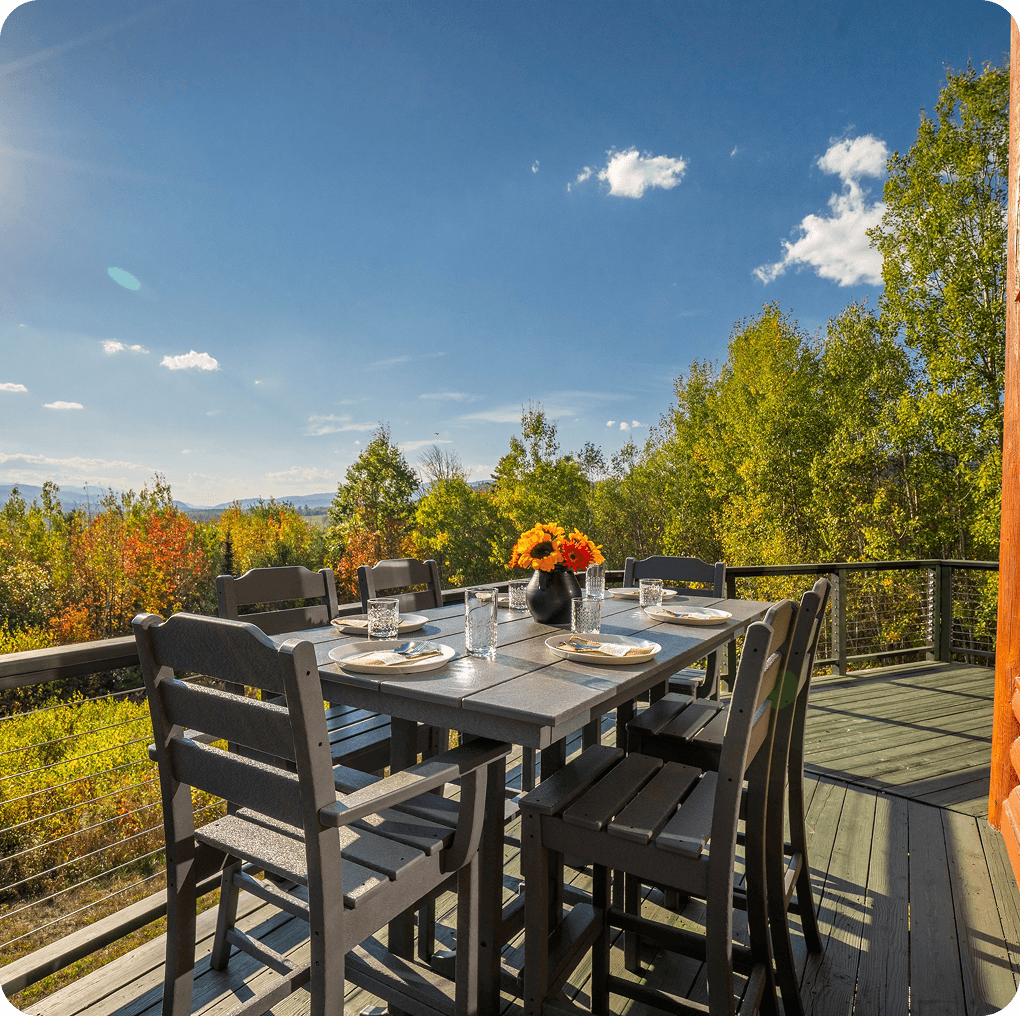 Mountain vista aerial view